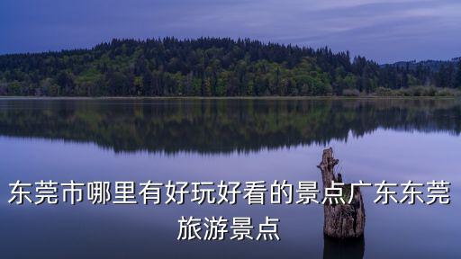 東莞旅游哪里好玩的地方，東莞有什么地方好玩的
