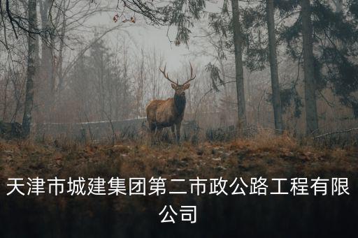 天津市城建集團第二市政公路工程有限公司
