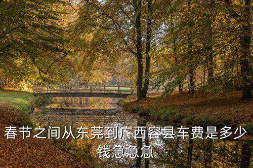 春節之間從東莞到廣西容縣車費是多少錢急急急