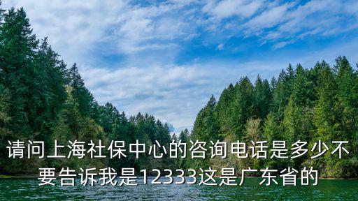 請問上海社保中心的咨詢電話是多少不要告訴我是12333這是廣東省的