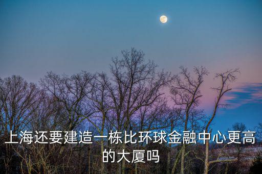 上海還要建造一棟比環球金融中心更高的大廈嗎