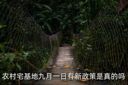 農(nóng)村宅基地九月一日有新政策是真的嗎