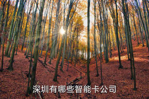 深圳有哪些智能卡公司