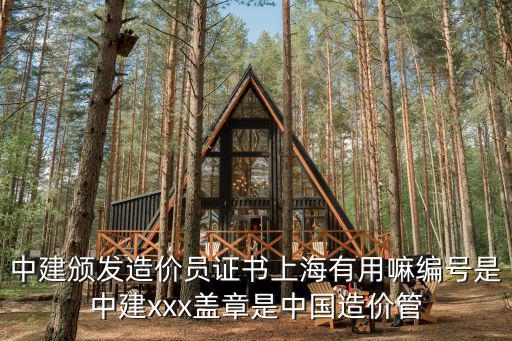 中建頒發造價員證書上海有用嘛編號是中建xxx蓋章是中國造價管