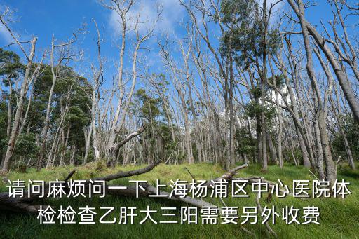 請問麻煩問一下上海楊浦區(qū)中心醫(yī)院體檢檢查乙肝大三陽需要另外收費