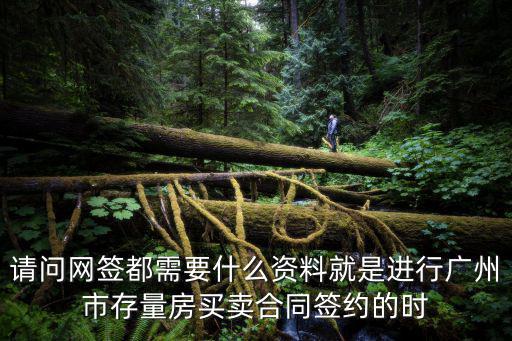 請問網簽都需要什么資料就是進行廣州市存量房買賣合同簽約的時
