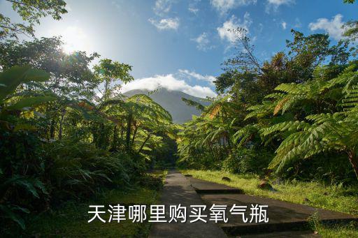 天津哪里購買氧氣瓶