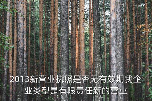 2013新營業執照是否無有效期我企業類型是有限責任新的營業