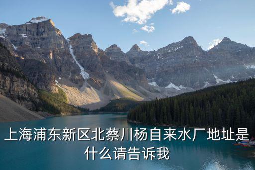 上海浦東新區北蔡川楊自來水廠地址是什么請告訴我