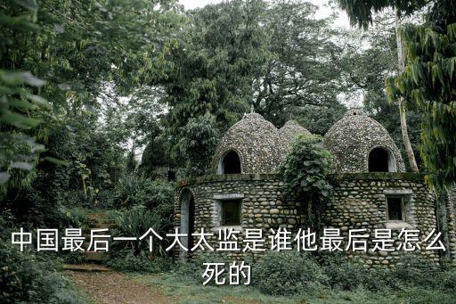 天津市靜海區西雙塘村鄭茂才，中國最后一個大太監是誰他最后是怎么死的