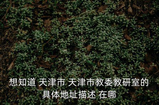 想知道 天津市 天津市教委教研室的具體地址描述 在哪