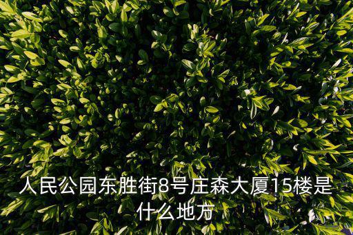 人民公園東勝街8號(hào)莊森大廈15樓是什么地方