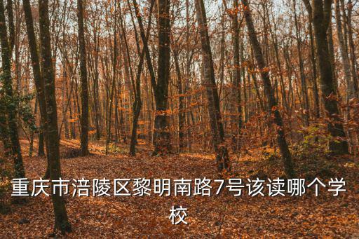 重慶市涪陵區(qū)黎明南路7號(hào)該讀哪個(gè)學(xué)校