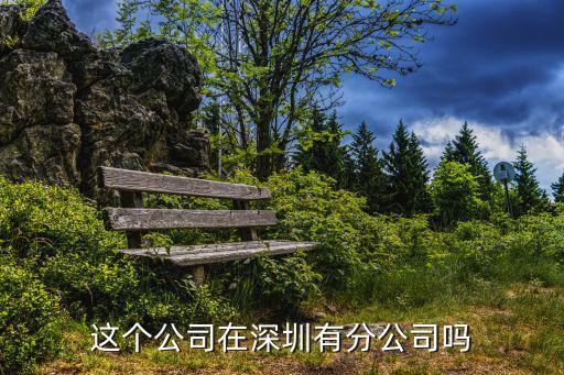 這個公司在深圳有分公司嗎