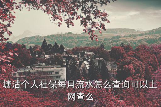 塘沽個人社保每月流水怎么查詢可以上網(wǎng)查么