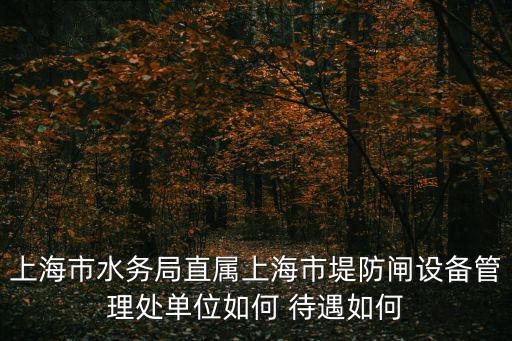 上海市水務(wù)局規(guī)劃處，上海市供水管理處計(jì)劃用水辦公室事業(yè)編制待遇怎么樣