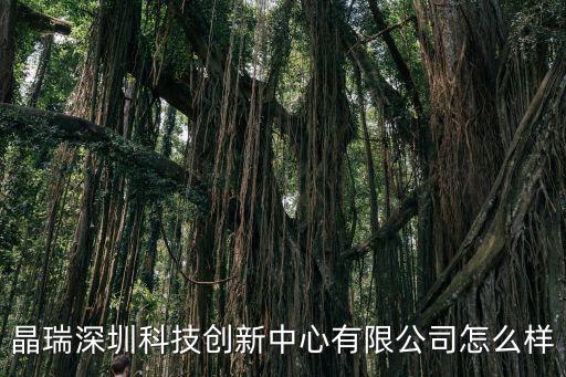 深圳市布納維投資發展有限公司，深圳市酷客智能科技有限公司值得去嗎