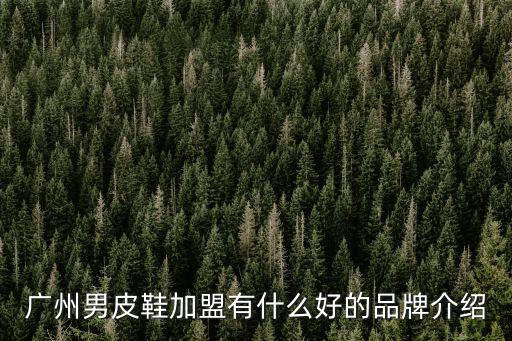 廣州男皮鞋加盟有什么好的品牌介紹