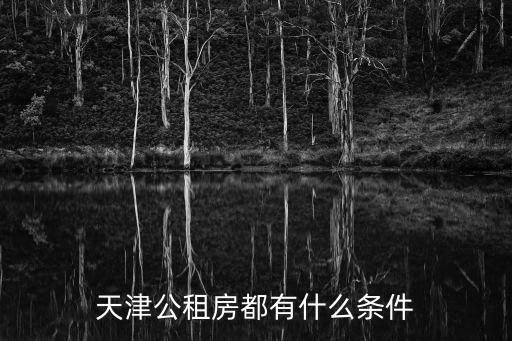 天津公租房都有什么條件