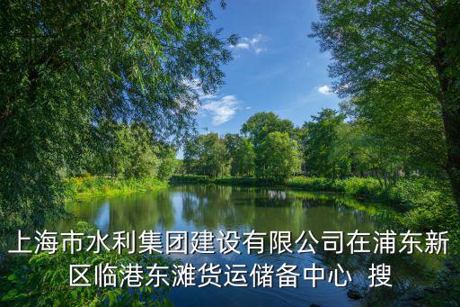 上海市水利集團建設有限公司在浦東新區臨港東灘貨運儲備中心  搜