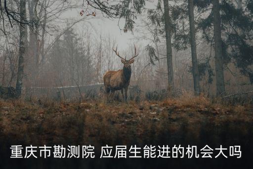 重慶市勘測院 應(yīng)屆生能進的機會大嗎
