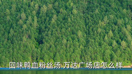 回味鴨血粉絲湯 萬達廣場店怎么樣
