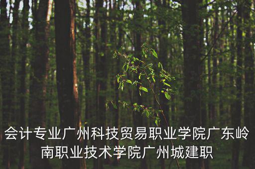 會(huì)計(jì)專業(yè)廣州科技貿(mào)易職業(yè)學(xué)院廣東嶺南職業(yè)技術(shù)學(xué)院廣州城建職