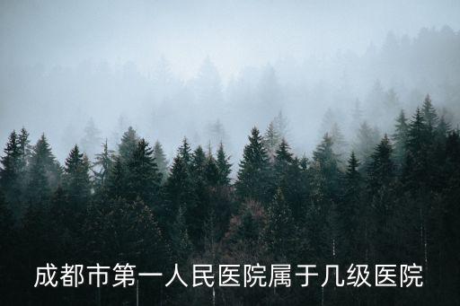 成都市第一人民醫(yī)院屬于幾級(jí)醫(yī)院