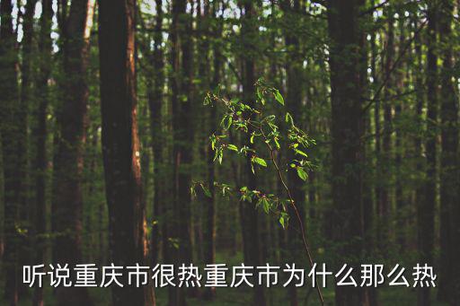 吳存榮 重慶市委，重慶市有多少人口