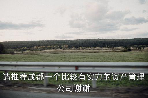 成都市集體資產管理公司，請推薦成都一個比較有實力的資產管理公司謝謝