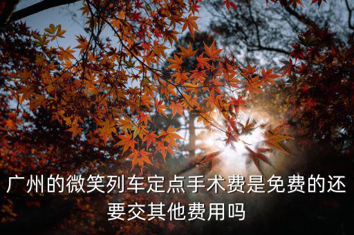 廣州的微笑列車定點手術(shù)費是免費的還要交其他費用嗎