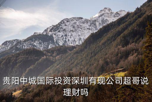 深圳市中躍投資有限公司，貴陽中城國際投資深圳有現(xiàn)公司超哥說理財嗎