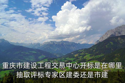 重慶市評標專家業主代表，重慶市建設工程交易中心開標是在哪里抽取評標專家區建委還是市建