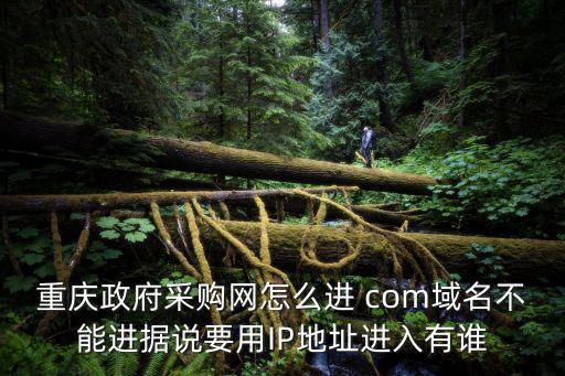 重慶政府采購網怎么進 com域名不能進據說要用IP地址進入有誰