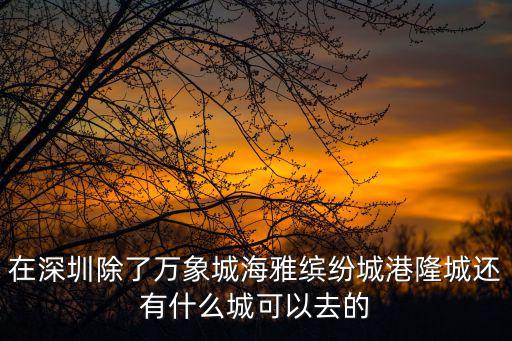 在深圳除了萬象城海雅繽紛城港隆城還有什么城可以去的