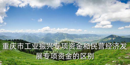 重慶市振興，為什么重慶發展的那么快 不是也振興東北么那黑龍江除了農業工業經濟