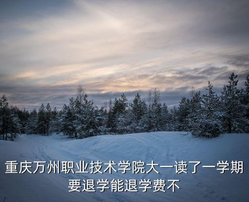 重慶萬州職業技術學院大一讀了一學期要退學能退學費不