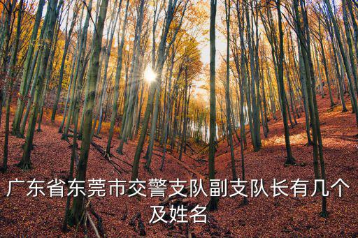 廣東省東莞市交警支隊副支隊長有幾個及姓名