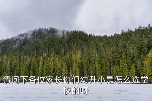 請問下各位家長你們幼升小是怎么選學校的呀