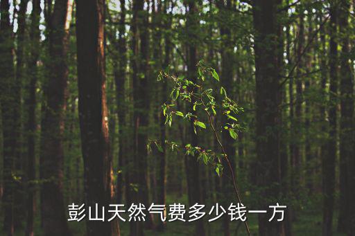 彭山天然氣費多少錢一方