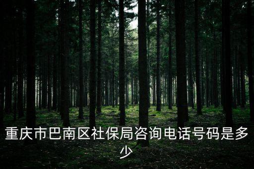重慶市巴南區社保局咨詢電話號碼是多少
