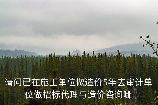 請問已在施工單位做造價5年去審計單位做招標代理與造價咨詢哪