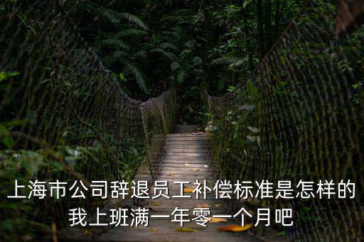 上海市公司辭退員工補償標準是怎樣的我上班滿一年零一個月吧