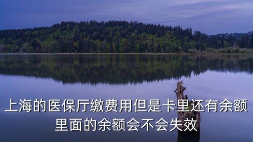 上海的醫保廳繳費用但是卡里還有余額里面的余額會不會失效