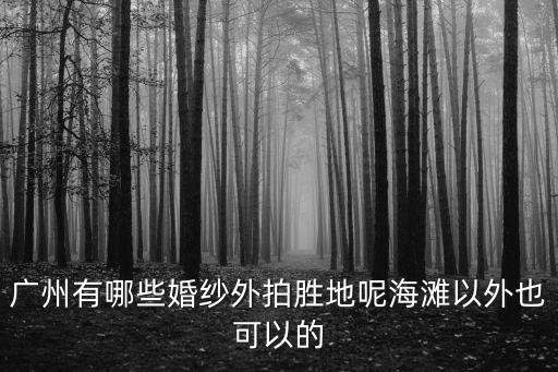 廣州有哪些婚紗外拍勝地呢海灘以外也可以的