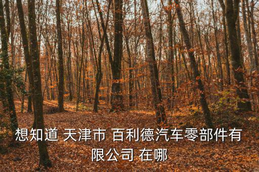 想知道 天津市 百利德汽車零部件有限公司 在哪
