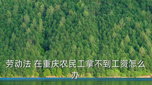 勞動法 在重慶農(nóng)民工拿不到工資怎么辦
