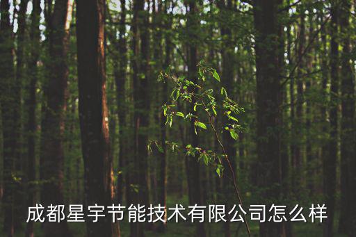 成都星宇節能技術有限公司怎么樣