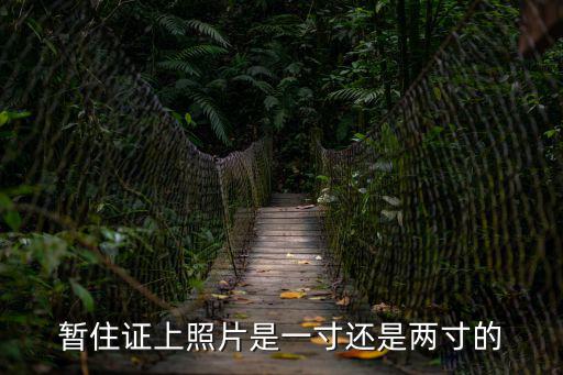 成都市居住證照片尺寸是多少錢，暫住證照片規格是多少謝謝