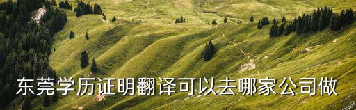 東莞口譯公司，東莞翻譯公司哪家好有沒有人知道